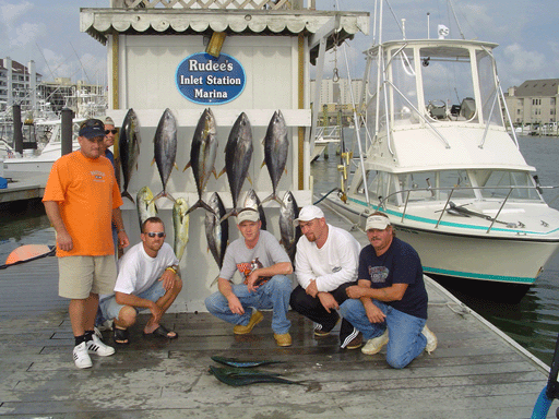 Tips For More Stripers In Virginia - Fishing Reports, News, Charters