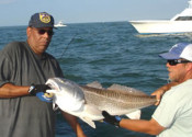 Inshore-Fishing-Virginia-Beach
