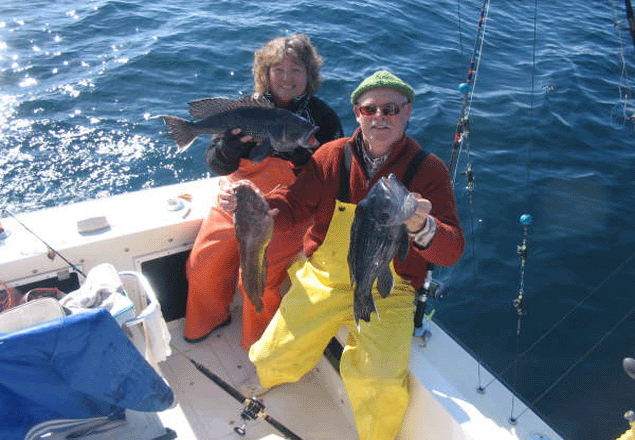  Virginia Beach Fishing Charter cost