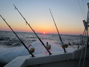 Virginia beach Fishing Report July 2