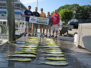 Mahi Mahi fishing Virginia Beach