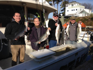 rockfish charters virginia